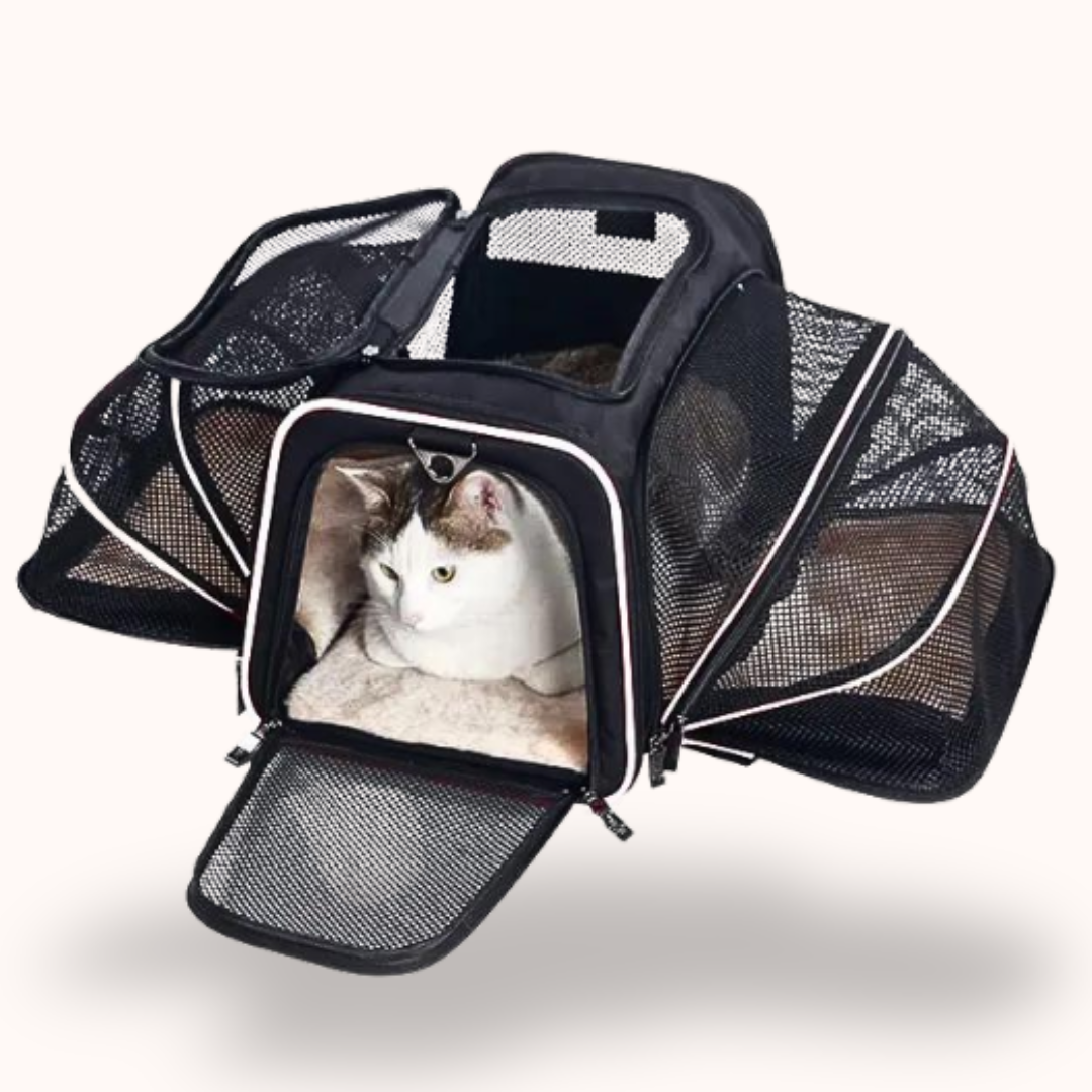 Portable Pet Travel Backpack