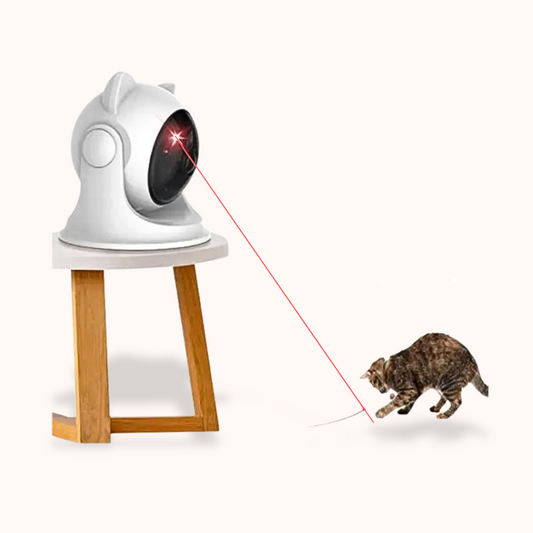 Automatic laser Cats Game