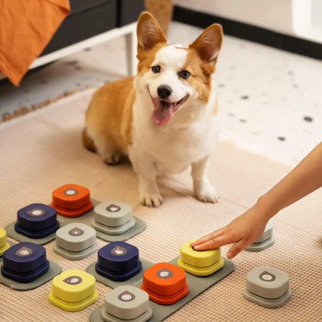 Talking Pet Button – Teach Your Dog to Communicate