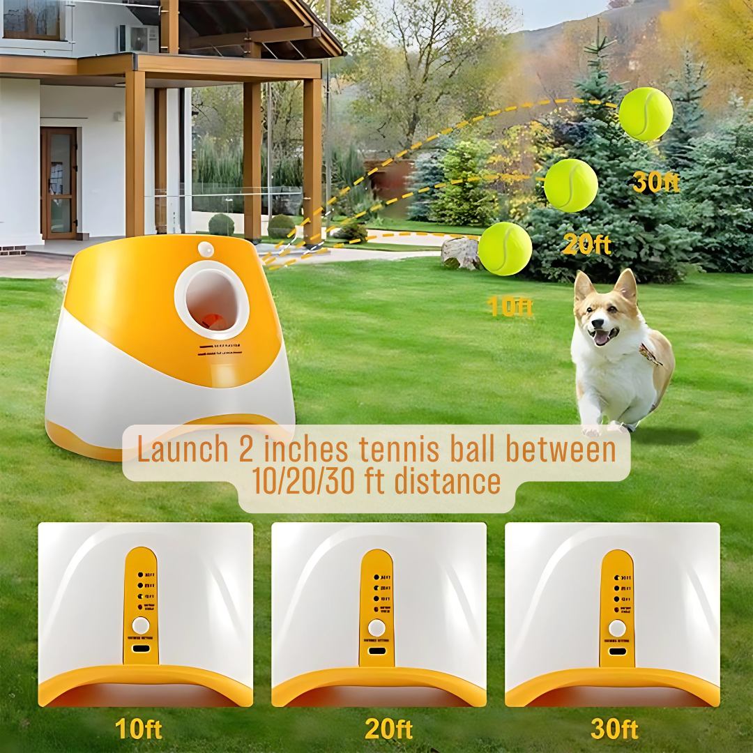 Turbo Fetch Dog Launcher