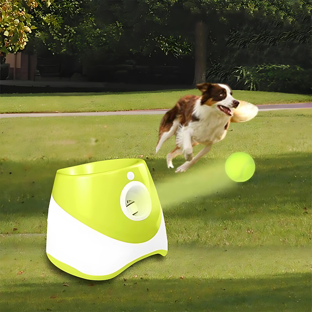 Turbo Fetch Dog Launcher