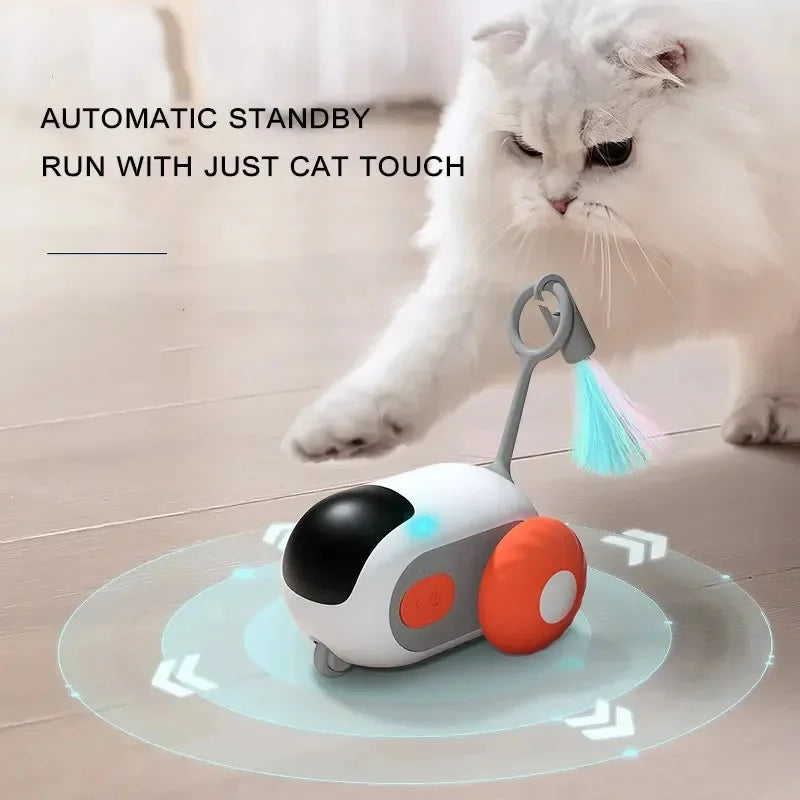 Smart Pet Racing Car