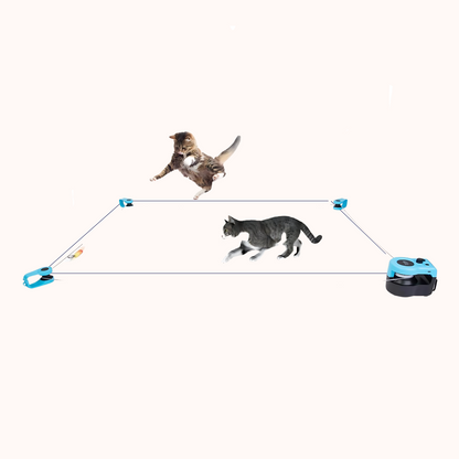 Interactive Cat Treadmill – Keep Your Indoor Cat Active and Engaged